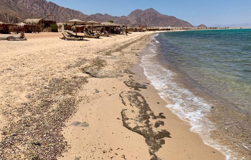 Al Magarra Camp