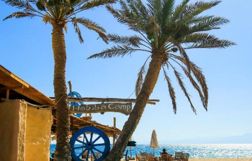 Habiba Beach Lodge