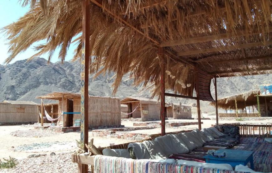 Husha Shanti Camp