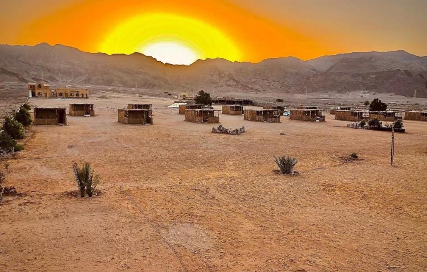 Lala Land Camp