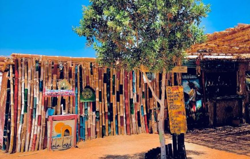 Lala Land Camp