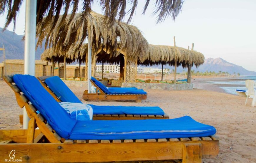 Wishwashi Camp & Spa