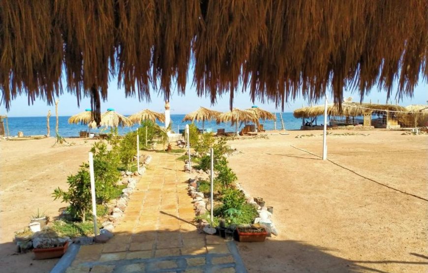 Wishwashi Camp & Spa