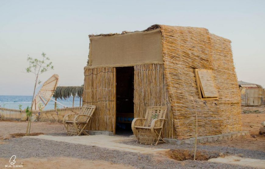 Wishwashi Camp & Spa